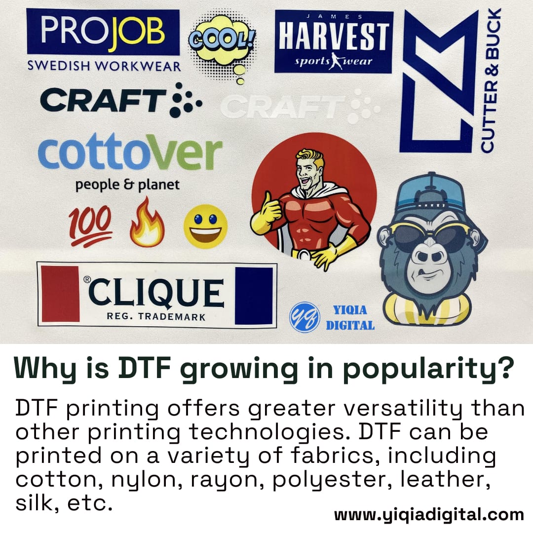 Why-is-DTF-growing-in-popularity